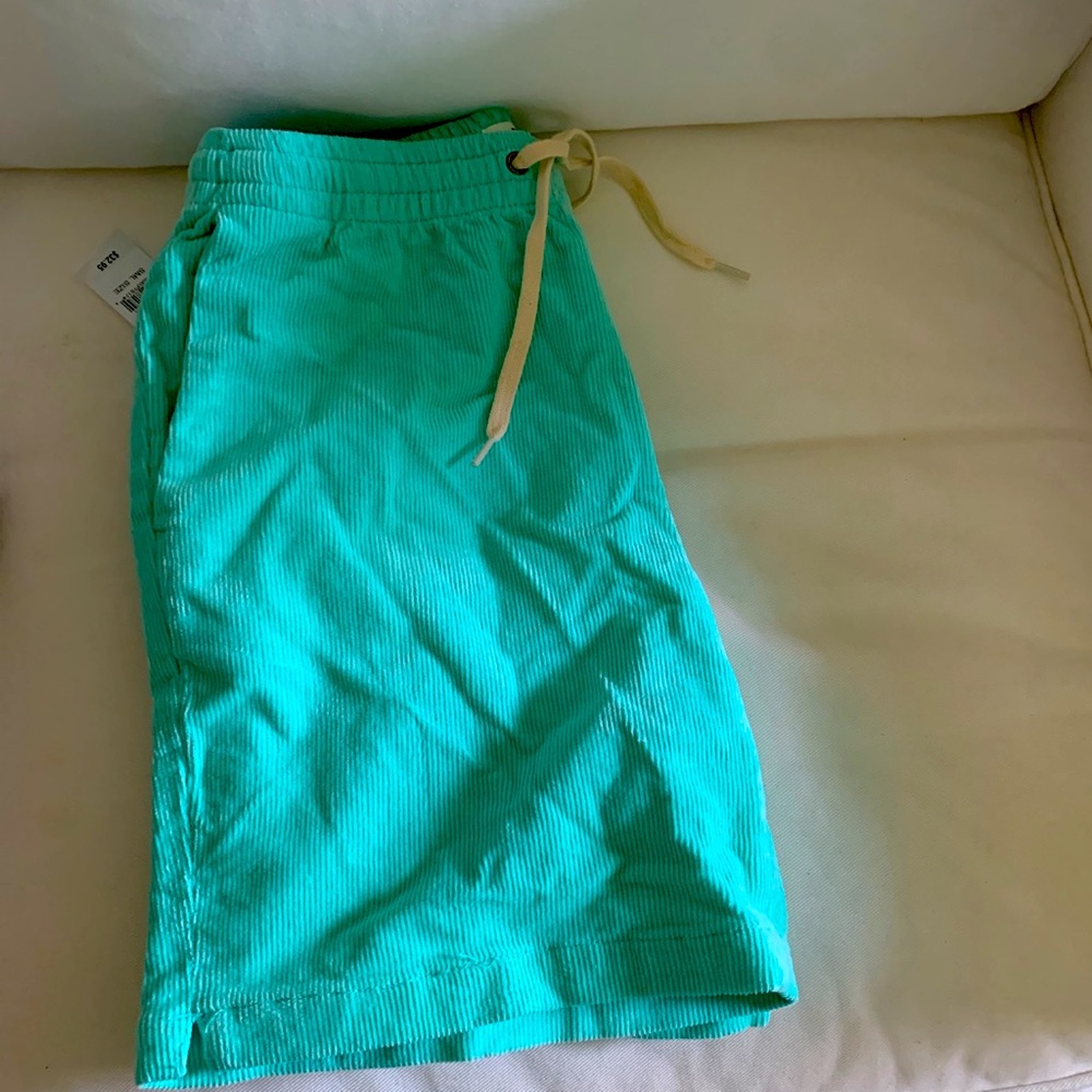 Mint Shorts